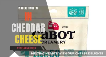 Trans-Free Cheddar: Unveiling the Truth About Cheese's Hidden Fats