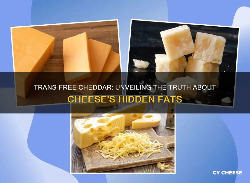 is there trans fat in cheddar cheese