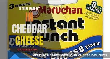 Cheddar Cheese: Trans Fat Free or Not?