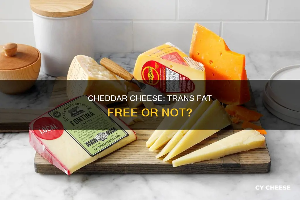 is there trans fat in cheddar cheese