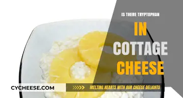 Cottage Cheese and Tryptophan: Uncovering the Sleep-Boosting Truth