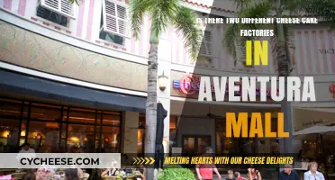 Exploring Aventura Mall: Are There Two Cheesecake Factories?