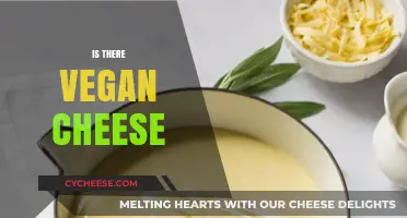 Exploring Vegan Cheese: Plant-Based Alternatives for Dairy-Free Diets