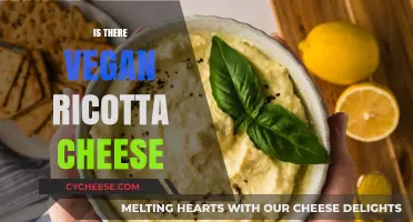 Discovering Vegan Ricotta Cheese: A Plant-Based Alternative for Your Recipes