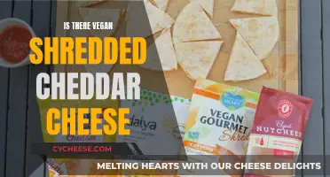 Vegan Cheddar: Unveiling the Creamy, Cheesy Alternative