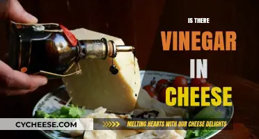 Is There Vinegar in Cheese? Unraveling the Dairy Mystery