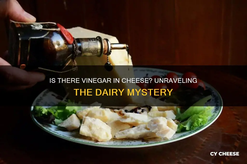 is there vinegar in cheese