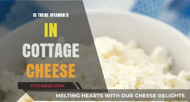 Cottage Cheese and Vitamin D: Uncovering Nutritional Benefits and Facts