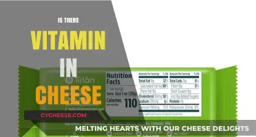 Cheese and Vitamins: Uncovering Nutritional Benefits in Your Favorite Dairy