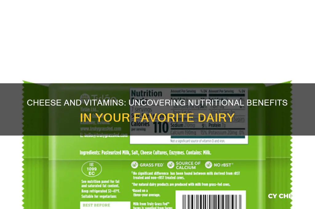 is there vitamin in cheese