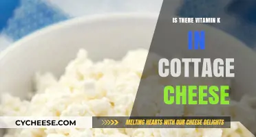Cottage Cheese and Vitamin K: Uncovering the Nutritional Truth