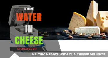 Is There Water in Cheese? Uncovering the Moist Truth
