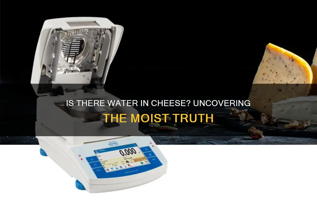 is there water in cheese