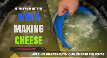 Cheese Making Process: Does Water Remain After Curdling Milk?