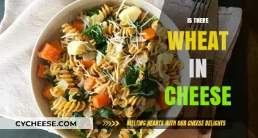 Is There Wheat in Cheese? Unraveling the Ingredients Mystery
