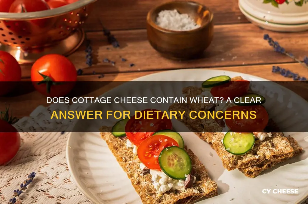 is there wheat in cottage cheese