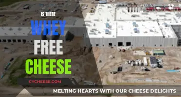 The Truth About Whey-Free Cheese