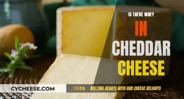 Unveiling the Mystery: Whey's Role in Cheddar Cheese