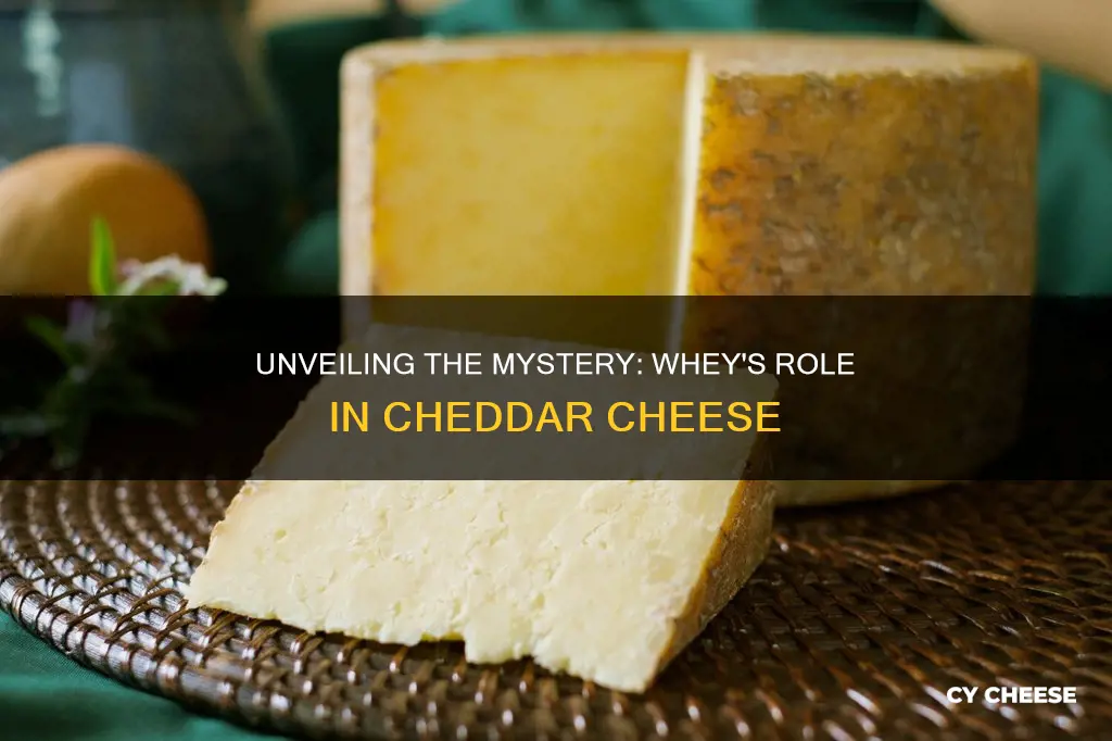 is there whey in cheddar cheese