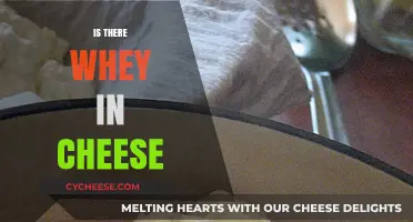 Is There Whey in Cheese? Uncovering the Truth Behind This Dairy Mystery