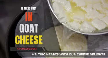 Goat Cheese and Whey: What's the Connection?