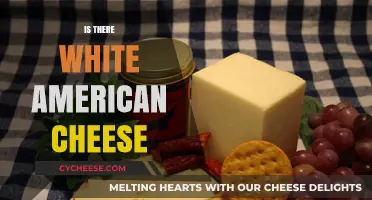 Exploring the Existence of White American Cheese: Fact or Fiction?