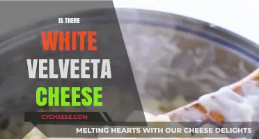 Exploring Velveeta: Does White Velveeta Cheese Exist?