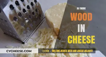 Is There Wood in Cheese? Unraveling the Myth and Facts