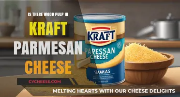 Kraft Parmesan Cheese: Wood Pulp's Role