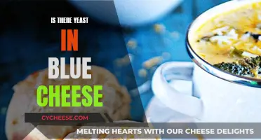 Blue Cheese and Yeast: An Unlikely Combination?
