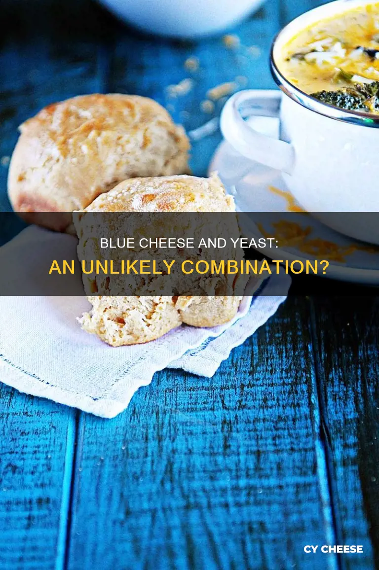 is there yeast in blue cheese