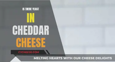 Yeast in Cheddar: Uncovering the Cheese's Hidden Ingredient