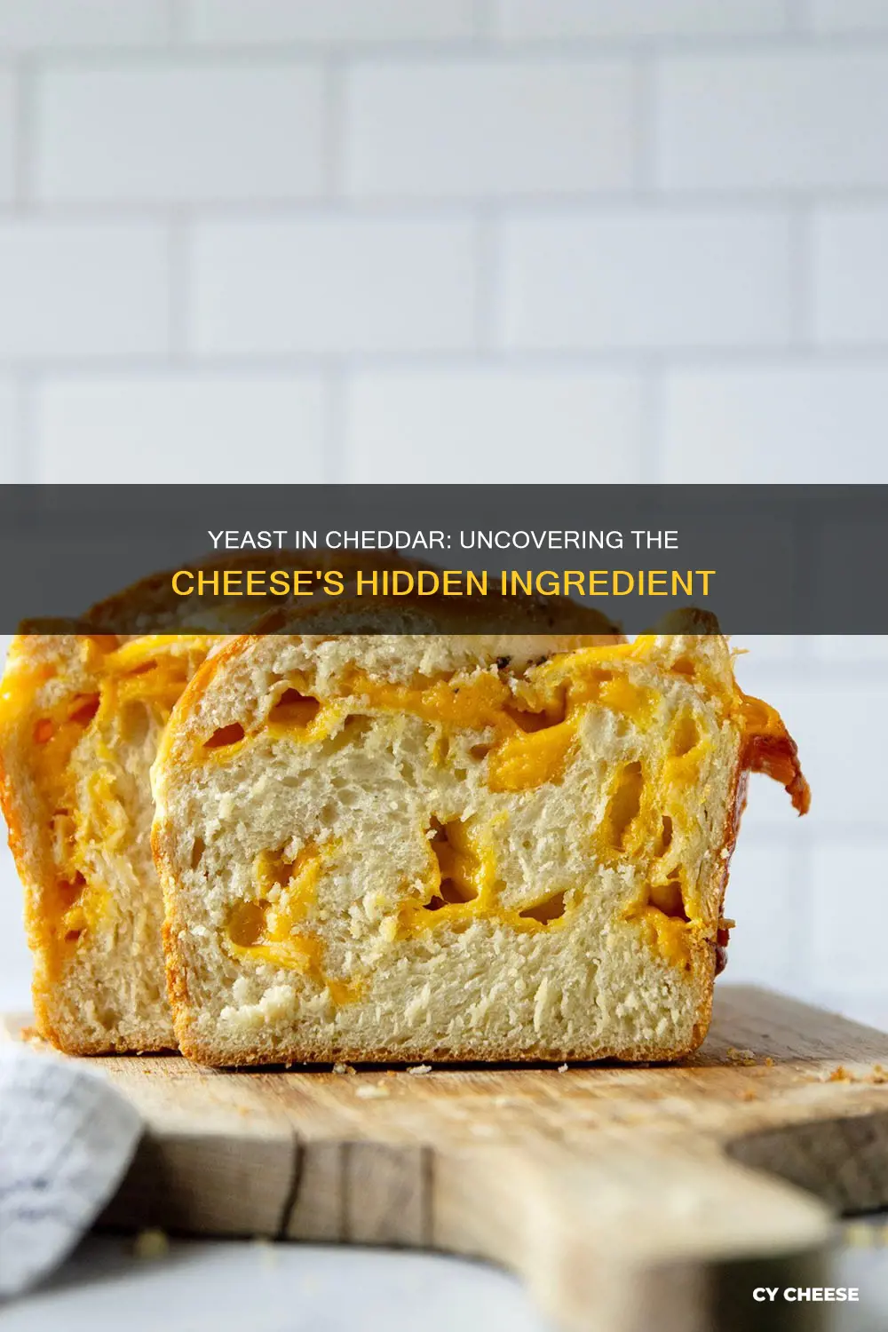 is there yeast in cheddar cheese