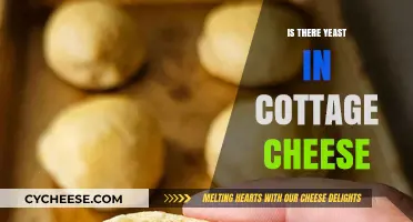 Does Cottage Cheese Contain Yeast? Uncovering the Truth About Its Ingredients