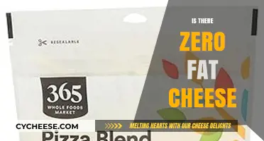 Exploring Zero Fat Cheese: Myth, Reality, and Healthy Alternatives