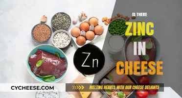 Does Cheese Contain Zinc? Uncovering the Nutritional Facts