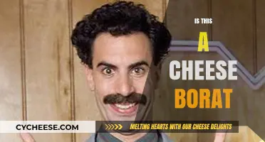 Is This a Cheese Borat? Unraveling the Hilarious Confusion