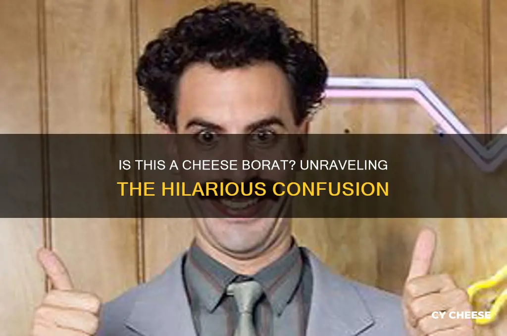 is this a cheese borat