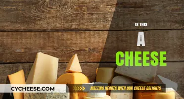 Is This a Cheese? Unraveling the Mystery of Dairy Delights