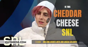 SNL's Cheddar Cheese: A Tasty Sketch or Just a Joke?