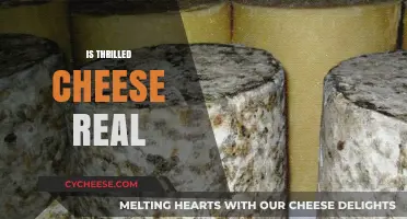Is Thrilled Cheese Real? Unraveling the Mystery Behind the Sensation