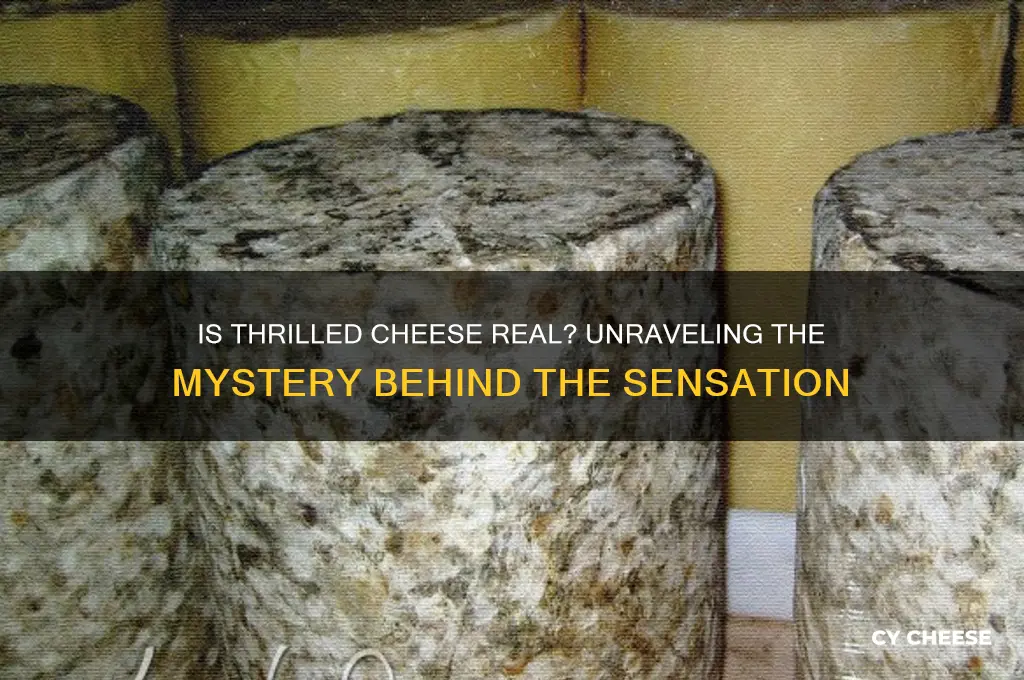 is thrilled cheese real