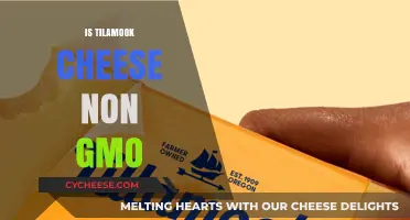 Is Tilamook Cheese Non-GMO? Uncovering the Truth Behind the Label