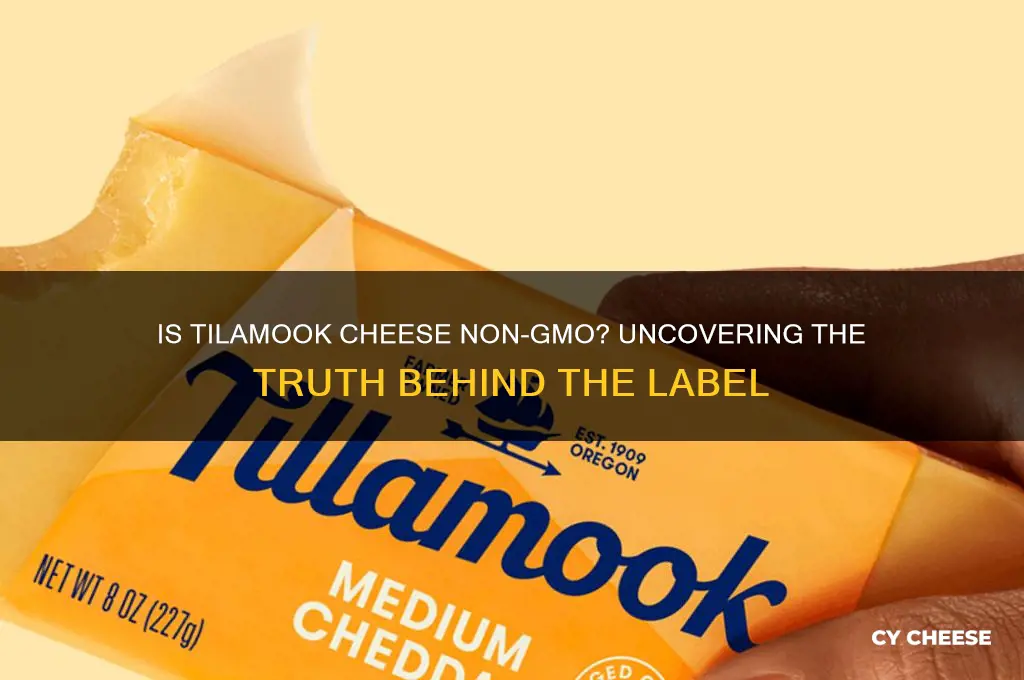 is tilamook cheese non gmo