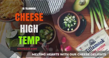 Can Tilanmok Cheese Withstand High Temperatures? A Melting Point Guide