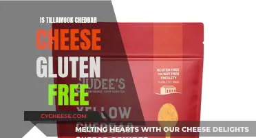 Tillamook Cheddar: Gluten-Free Cheese Delight