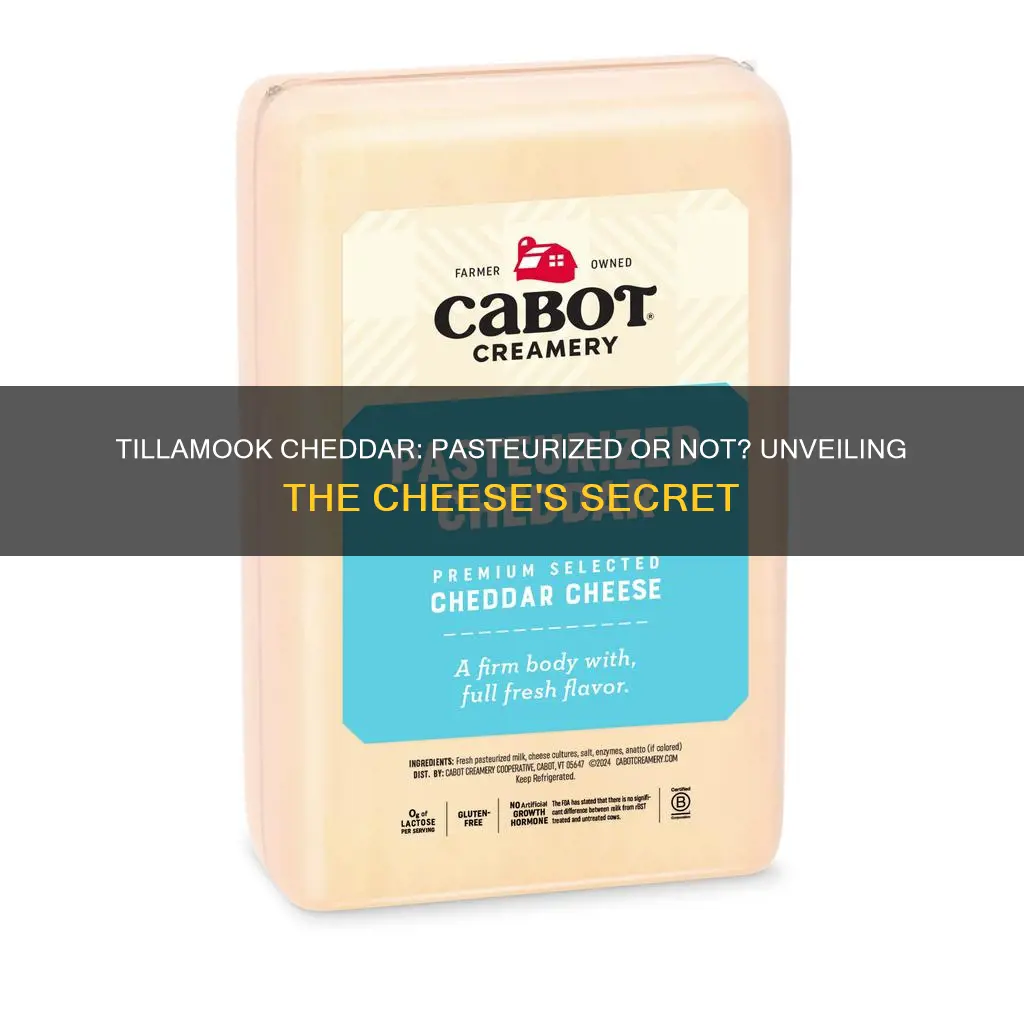 is tillamook cheddar cheese pasteurized