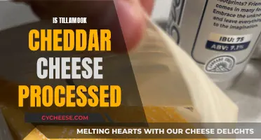 Tillamook Cheddar: Unveiling the Truth: Is It Processed?