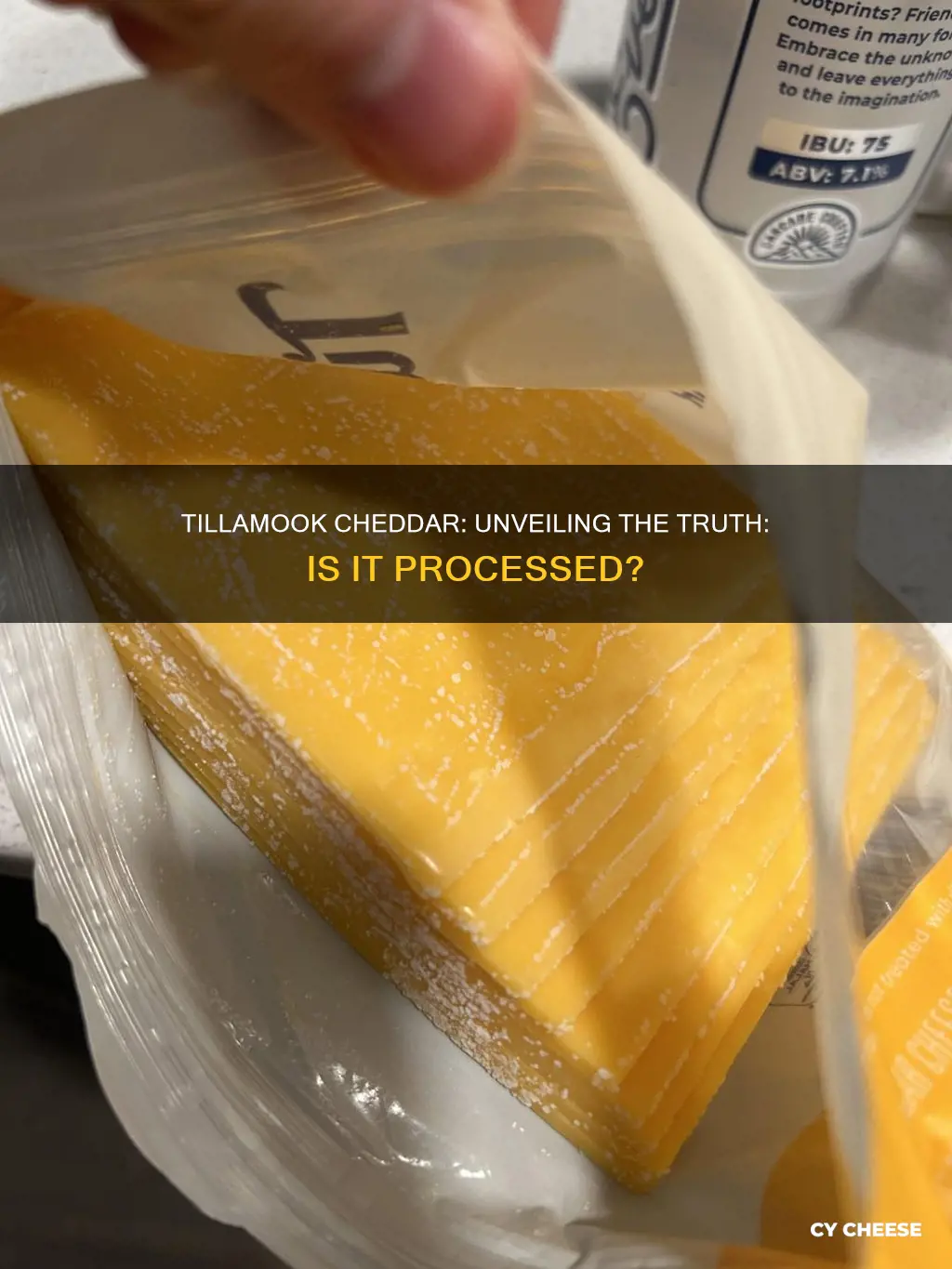 is tillamook cheddar cheese processed