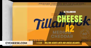 Is Tillamook Cheese A2? Unraveling the Truth Behind the Label